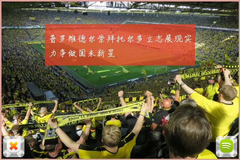 普罗维德尔崇拜托尔多立志展现实力争做国米新星