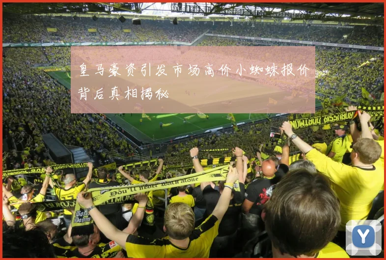皇马豪资引发市场高价小蜘蛛报价背后真相揭秘